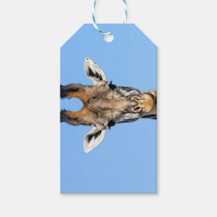 Giraffe Geschenkanhänger