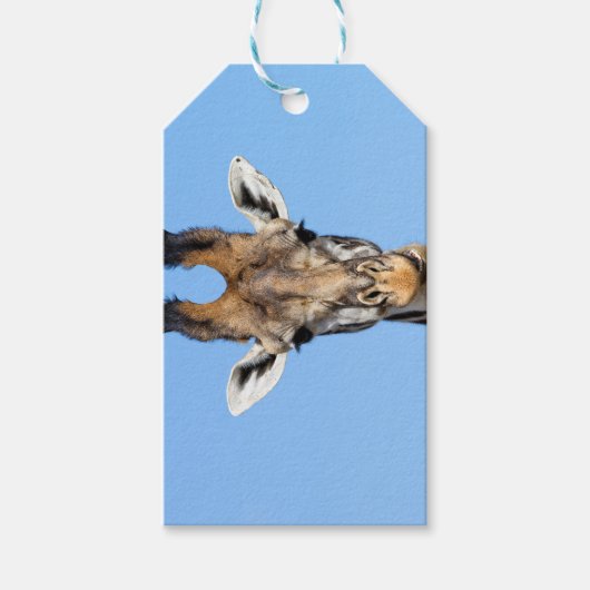 Giraffe Geschenkanhänger (Vorderseite)