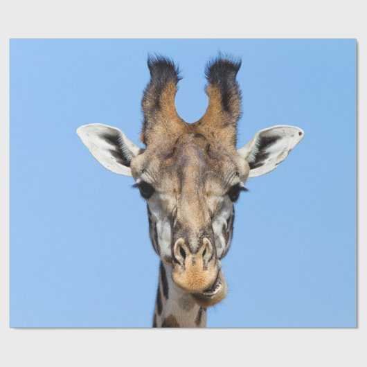 Giraffe Geschenkpapier (Flach)