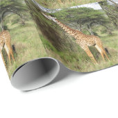 Giraffe Geschenkpapier (Rolleneckpunkt)
