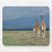 Giraffe (Giraffa camelopardalis) 2 Mousepad (Vorne)