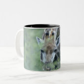 Giraffe (Giraffa camelopardalis) an fütternd Zweifarbige Tasse (Vorderseite Links)