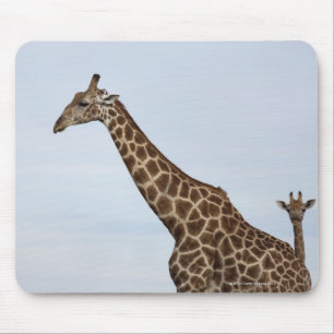 Giraffe (Giraffa camelopardalis), Chobe Mousepad