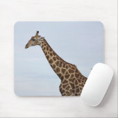 Giraffe (Giraffa camelopardalis), Chobe National Mousepad (Mit Mouse)
