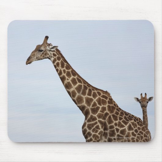 Giraffe (Giraffa camelopardalis), Chobe National Mousepad (Vorne)