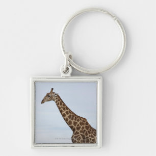 Giraffe (Giraffa camelopardalis), Chobe nationales Schlüsselanhänger
