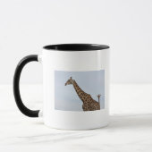 Giraffe (Giraffa camelopardalis), Chobe Tasse (Links)