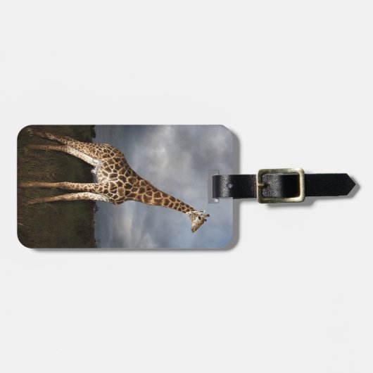 Giraffe (Giraffa camelopardalis) Gepäckanhänger (Vorderseite horizontal)