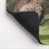 Giraffe, Giraffa camelopardalis, Kgalagadi 2 Mousepad (Ecke)