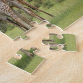 Giraffe, Giraffa camelopardalis, Kgalagadi 2 Puzzle (Seite)