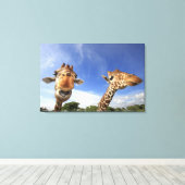 Giraffe (Giraffa camelopardalis) Leinwanddruck (Insitu (Holzboden))