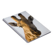 Giraffe (Giraffa camelopardalis)-Porträt Notizblock (Rechte Seite)
