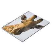 Giraffe (Giraffa camelopardalis)-Porträt Notizblock (Linke Seite)