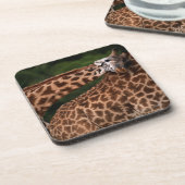 Giraffe (Giraffe camelopardalis tippleskirchi) Getränkeuntersetzer (Linke Seite)