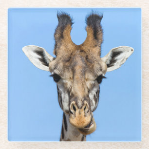 Giraffe Glasuntersetzer