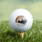 GIRAFFE GOLFBALL (Insitu T-Shirt)