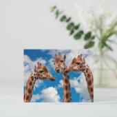 Giraffe Gossip Girls Postkarte (Stehend Vorderseite)