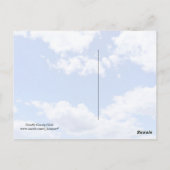 Giraffe Gossip Girls Postkarte (Rückseite)