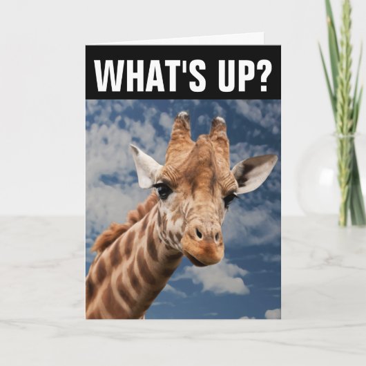 GIRAFFE GREETING CARD, WAS IST OB? KARTE (Vorderseite)