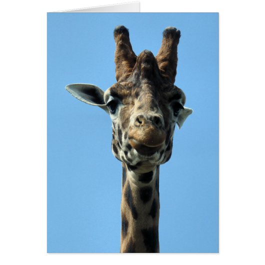 GIRAFFE GREETINGS CARD (Vorne)