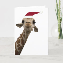 Giraffe Grüße Feiertagskarte
