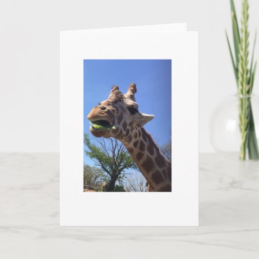 Giraffe Grußkarte Karte (Vorderseite)