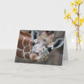 Giraffe Grußkarte Karte (Gelbe Blume)