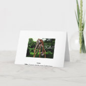 Giraffe hallo karte (Rückseite)