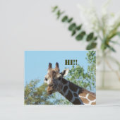 Giraffe, Hallo! Postkarte (Stehend Vorderseite)