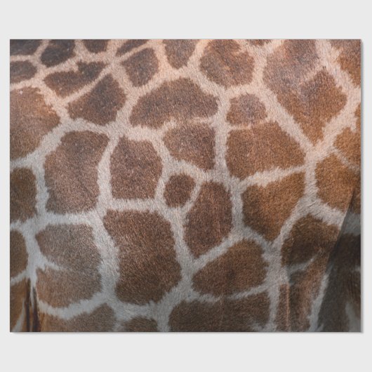 Giraffe Hautstruktur Geschenkpapier (Flach)