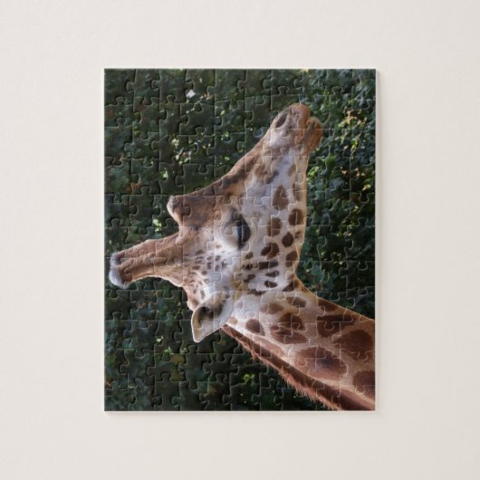 Giraffe Head Jigsaw Puzzle (Vertikal)