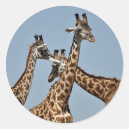 Giraffe Heads Sticker