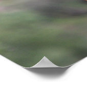 Giraffe Headshot Poster (Ecke)