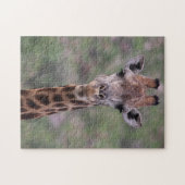 Giraffe Headshot Puzzle (Horizontal)