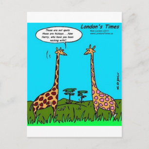 Giraffe Hickeys Lustige Geschenke T-Shirts Tassen  Postkarte