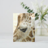 Giraffe I Postkarte (Stehend Vorderseite)