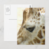 Giraffe I Postkarte (Vorne/Hinten)
