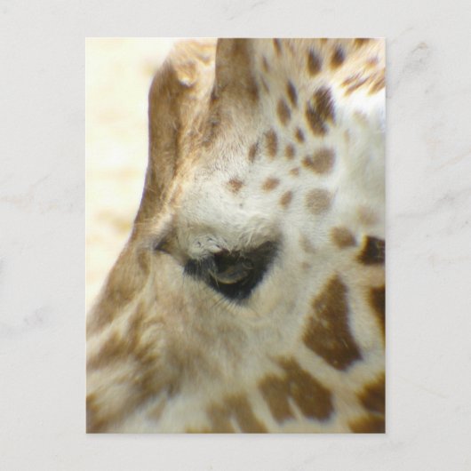 Giraffe I Postkarte (Vorderseite)