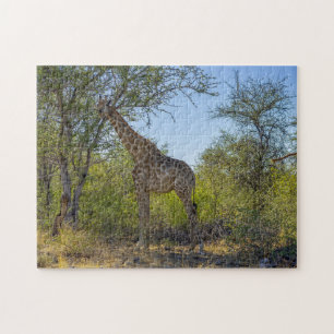 Giraffe im natürlichen Lebensraum, Afrika Puzzle