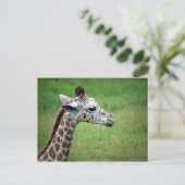 Giraffe im Regen Postkarte (Stehend Vorderseite)
