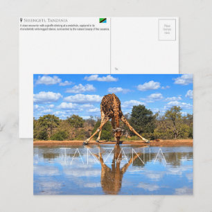 Giraffe im Serengeti-Park, Tansania Reise Postkarte