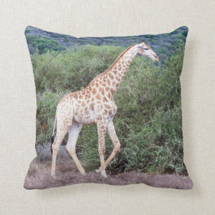 Giraffe im wilden kissen