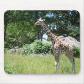 Giraffe im wilden mousepad (Vorne)