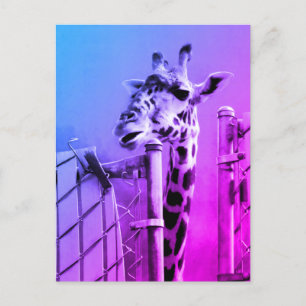 Giraffe im Zoon Postkarte