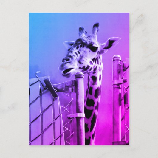 Giraffe im Zoon Postkarte (Vorderseite)