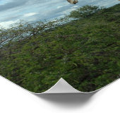 Giraffe in der Abenddämmerung Poster (Ecke)