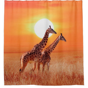 Giraffe in der afrikanischen Savanne gegen den Bac Duschvorhang