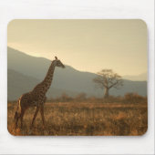 Giraffe in der Savannah Mousepad (Vorne)