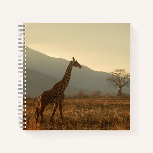 Giraffe in der Savannah Notizblock (Vorderseite)