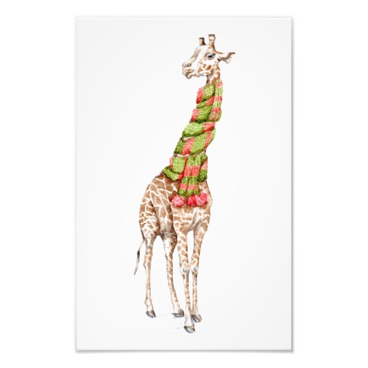 Giraffe in einem Scarf Fotodruck (Vorne)